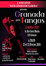 « Flamenco (danse et chant) » organisées par l'association Benzadance  vendredi 12 et dimanche 13 février 2016
